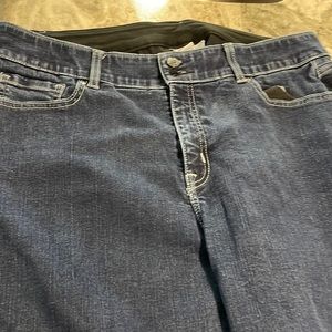 Lane Bryant Jeans